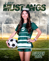 aubrey diaz