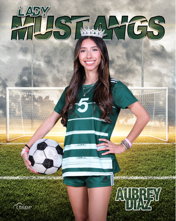 aubrey diaz